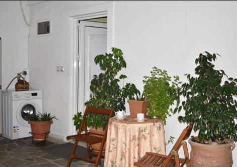 Zoe'S Apartment Bright&Cozy Athens Exterior photo