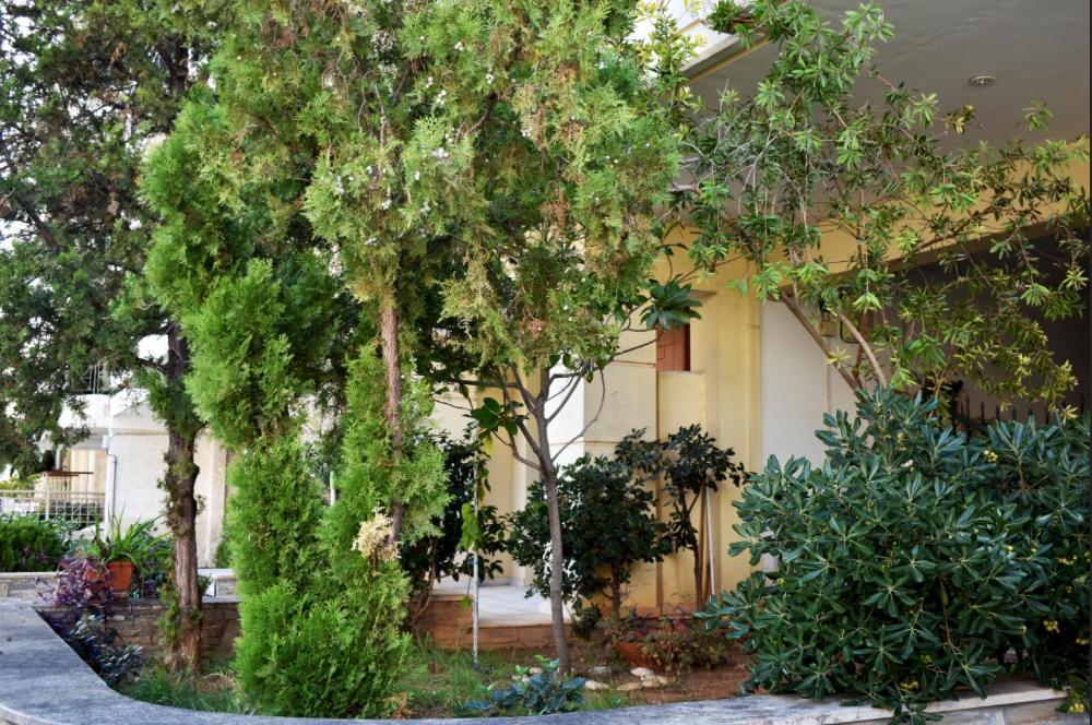 Zoe'S Apartment Bright&Cozy Athens Exterior photo